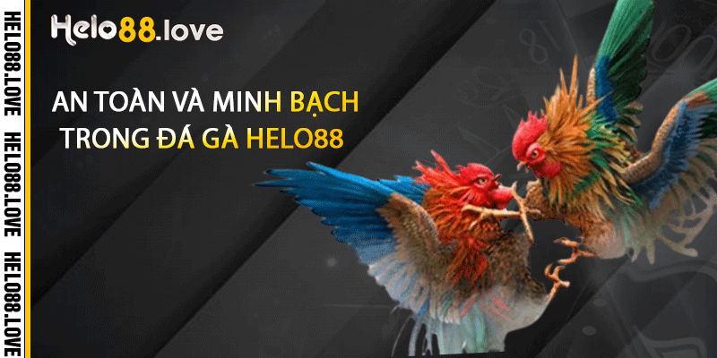 An toàn và minh bạch trong đá gà Helo88